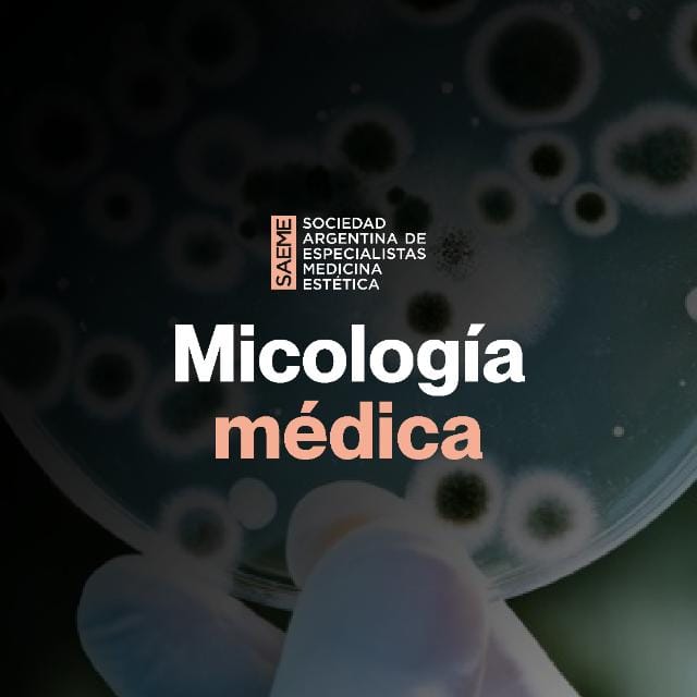 Curso micología médica